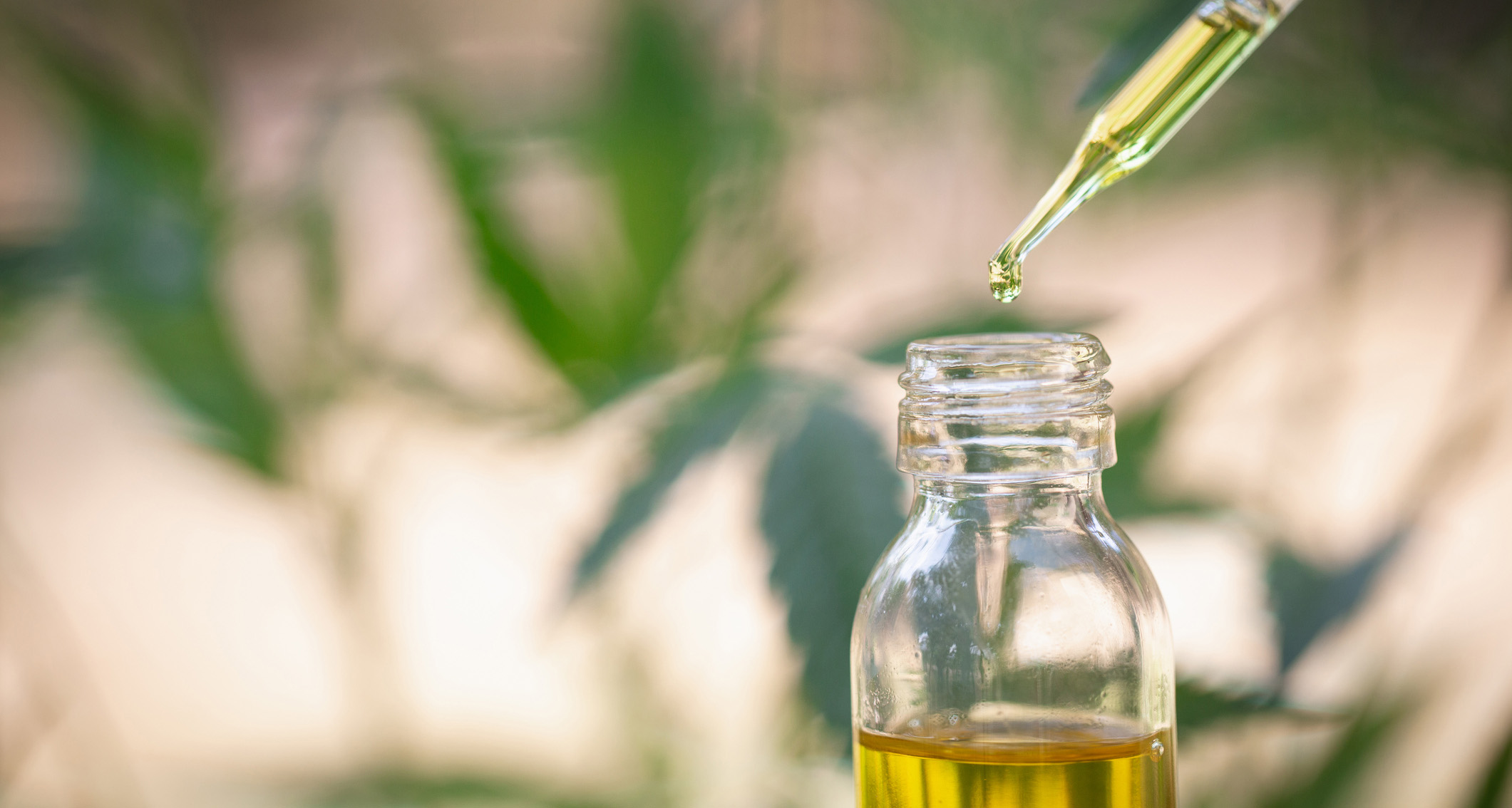 CBD Canada: Trusted Source for High-Quality CBD Products